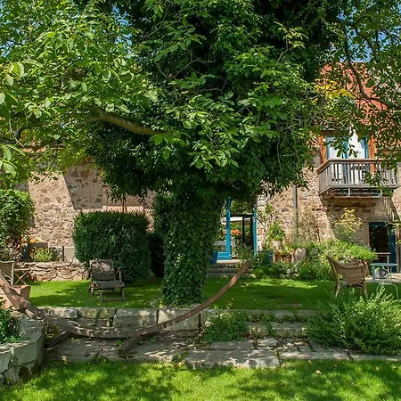 Weinbauer Etc... Радебойль